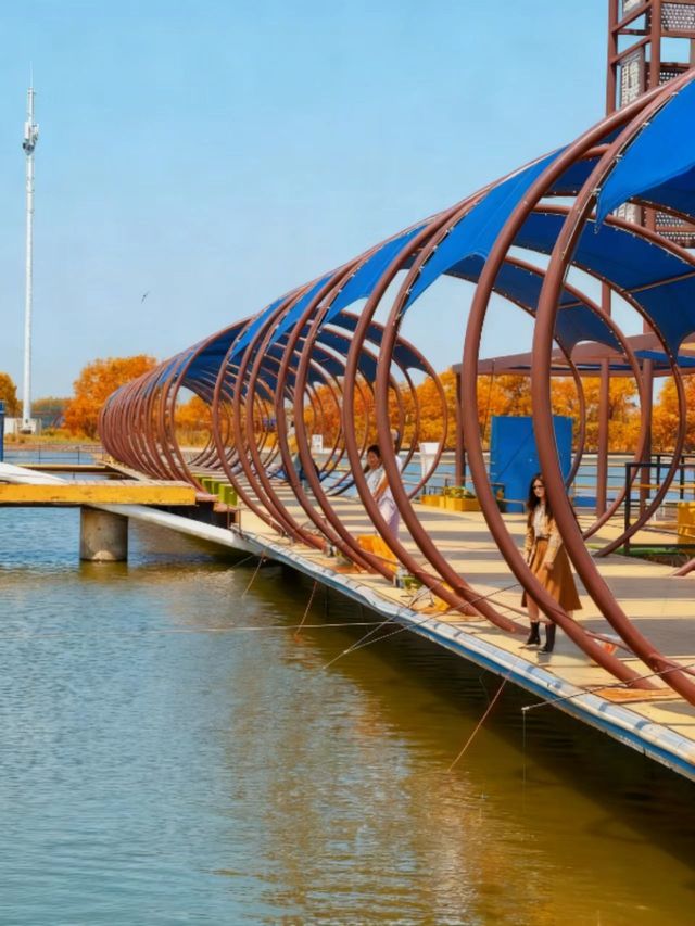 快樂週末新玩法 快樂週末新玩法