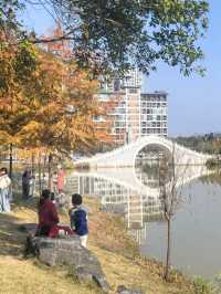 【韶關紅葉季】韶州公園漫步指南童話世界的調色盤在這裡!