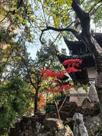 江南煙雨中的五大古典園林之一·曲水園