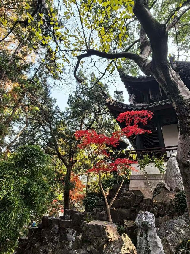 江南煙雨中的五大古典園林之一·曲水園 江南煙雨中的五大古典園林之一·曲水園