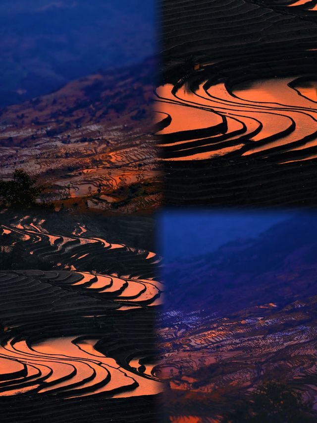 雲南冷門王炸!12月暖冬+馬幫古城+萬畝梯田|躺玩攻略 雲南冷門王炸!12月暖冬+馬幫古城+萬畝梯田|躺玩攻略