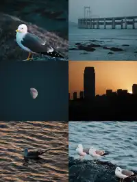 大連兩日一夜悠閒遊