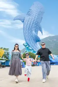 淡季的珠海長隆真的太出片啦🩵