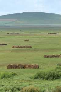 呼倫貝爾最美自駕線|走這一條路就夠了
