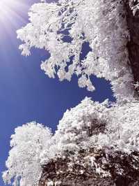 12月-2月來郴州莽山的!存下吧超全的!小眾玩雪地必衝!