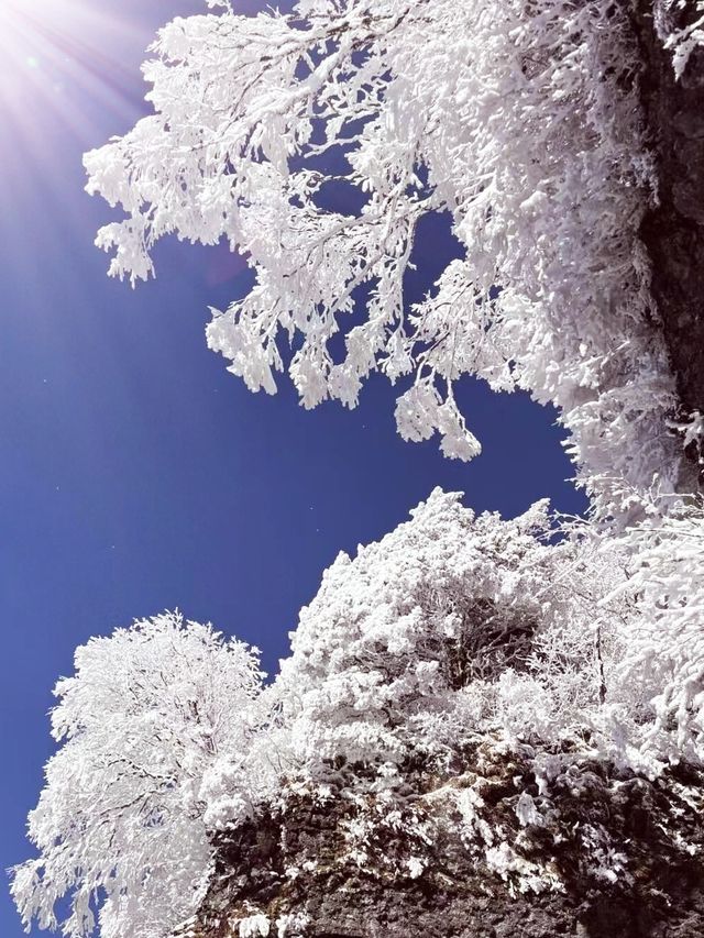 12月-2月來郴州莽山的!存下吧超全的!小眾玩雪地必衝! 12月-2月來郴州莽山的!存下吧超全的!小眾玩雪地必衝!