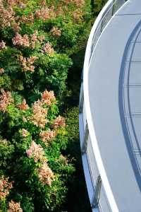 逃離城市喧囂廈門這條山海步道真的封神了