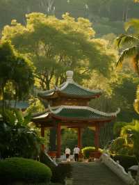 南寧青秀山冬日躺玩!親子打卡絕美雪景機位~