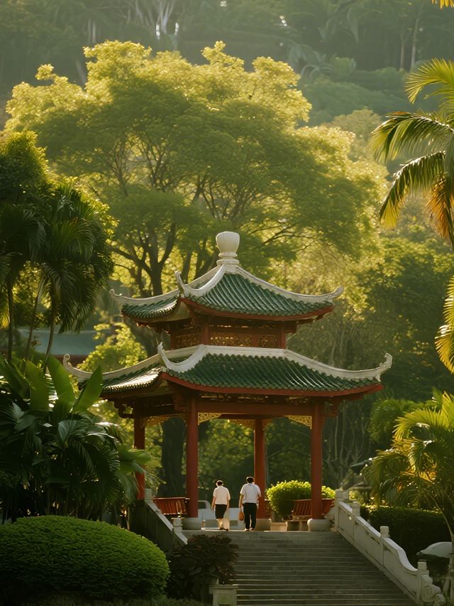 南寧青秀山冬日躺玩!親子打卡絕美雪景機位~ 南寧青秀山冬日躺玩!親子打卡絕美雪景機位~