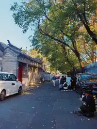 銀杏飄落是獨屬於北京的浪漫