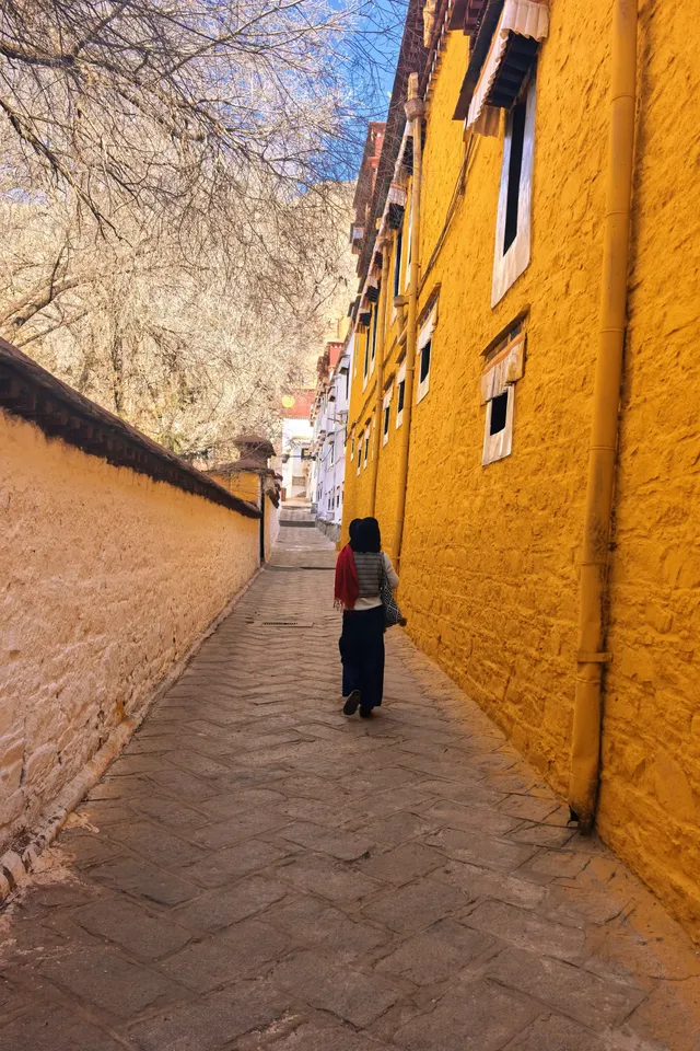 西藏day3|色拉寺 ·冬日拉薩鮮活的午後 西藏day3|色拉寺 ·冬日拉薩鮮活的午後