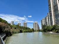 無懼秋老虎,打卡「千樹」之城,歷史的變遷,不定期更新