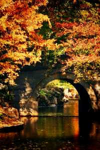 秋日來信,魔都私藏了一座油畫森林!|共青尋色指南