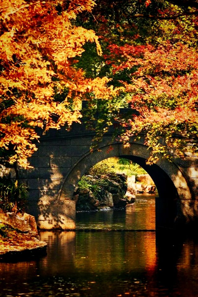 秋日來信,魔都私藏了一座油畫森林!|共青尋色指南 秋日來信,魔都私藏了一座油畫森林!|共青尋色指南