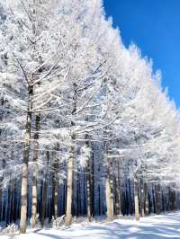 冬日烏蘭布統冰雪攻略