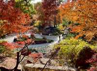 魔都小眾治癒地輔德里公園|市中心藏的森林綠洲