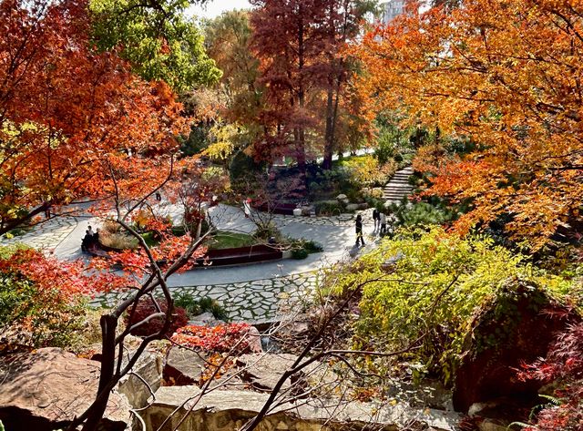 魔都小眾治癒地輔德里公園|市中心藏的森林綠洲 魔都小眾治癒地輔德里公園|市中心藏的森林綠洲