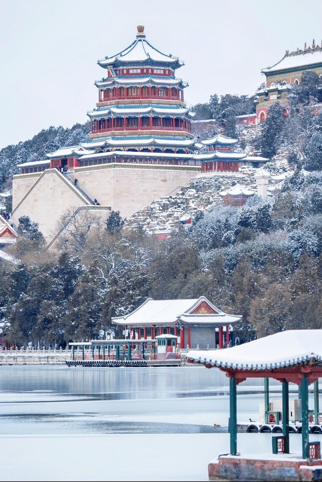 初雪降臨，北平秒變童話世界，你打卡了嗎