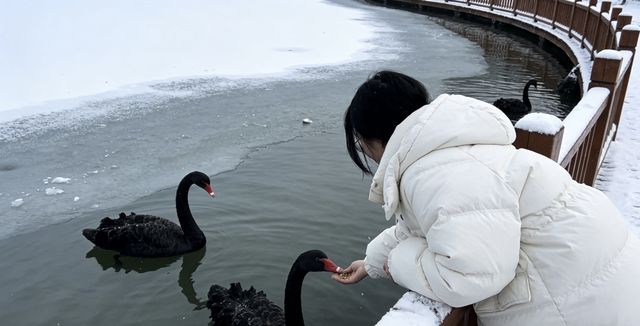 串聯歷史、工業、文藝與煙火氣 串聯歷史、工業、文藝與煙火氣