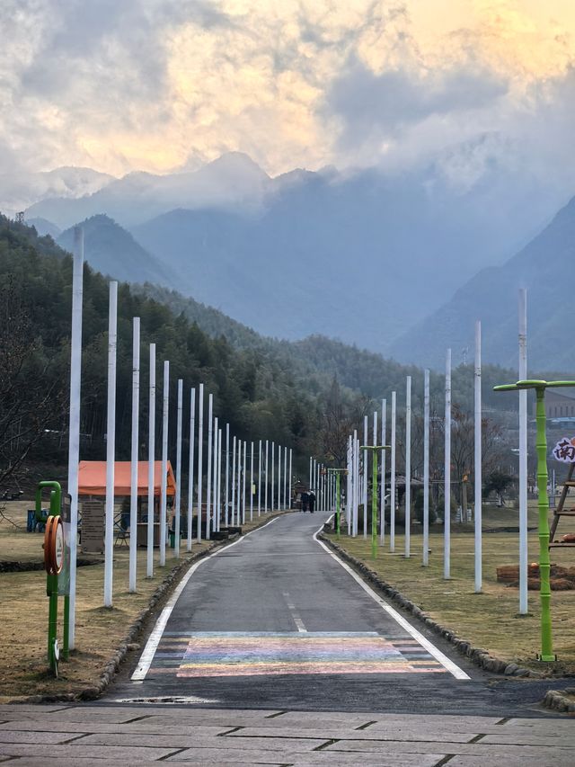 安吉熊貓部落|省心遛娃天堂!跟熊貓一起撒歡吧! 安吉熊貓部落|省心遛娃天堂!跟熊貓一起撒歡吧!