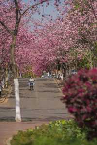 昆明滇池拍照打卡攻略，不可錯過的好地方