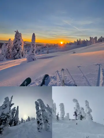 스키장에서 신이 되는 날, 넘어져서 얻는 즐거움이 최고!