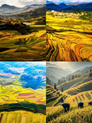 Moha Ji Village Terraced Fields: A Pastoral Poem in a Secret Realm