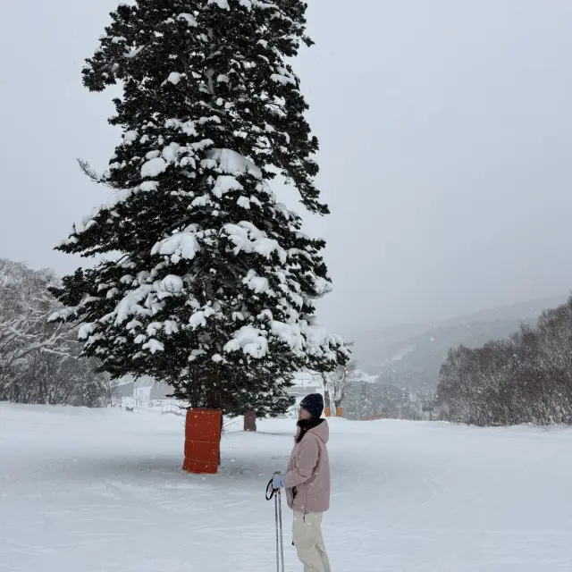 札幌近郊的Kiroro滑雪場，盡情享受粉雪的樂趣