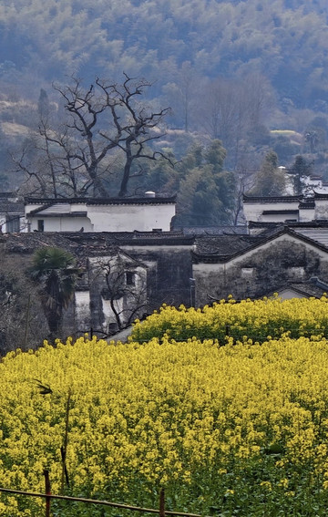 虹关村·察关水口 参考图 8