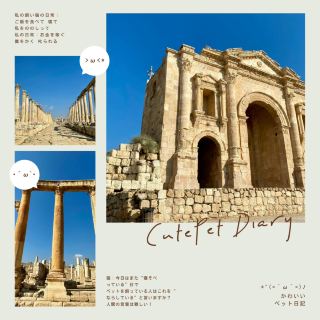 Jerash Roman Ruins Travel Guide