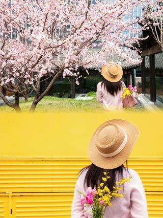 มีการค้นพบสถานที่ถ่ายรูปสวยๆ ที่ซ่อนอยู่แห่งใหม่ในเสิ่นหยางแล้ว! สถานที่นี้ตั้งอยู่ในบริเวณศูนย์การค้า Shenyang K11 Art Mall และโรงแรม Shenyang New World Hotel