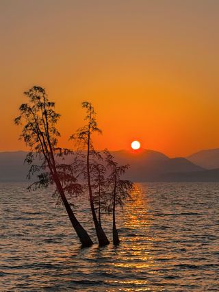 An Evening Date with the Sunset at Longkan Pier