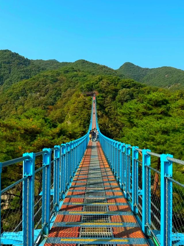 九州隱秘花海平治岳上,我闖進了宮崎駿的夏天