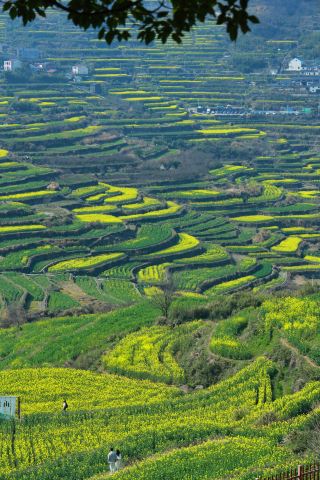 Complete Guide to Hiking at Fuzhi Mountain: Shall we go hiking together this weekend?