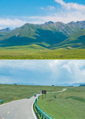 Summer Vacation｜9 Days in Xinjiang with Kids: Grape Valley +