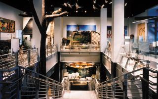 ​3-day travel guide to Indianapolis, USA