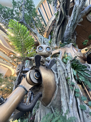 A must-visit forest for kids