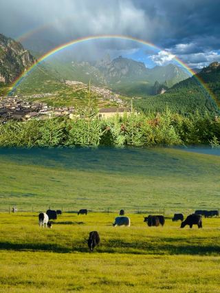 Gannan 5 days 4 nights legend｜Tibetan little Switzerland healed my entire summer