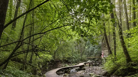 The "Golden-Edged Stream of the North"! Glass bridge + forest surfing + sky forest — traveler post in Bin County