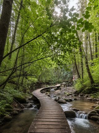 The "Golden-Edged Stream of the North"! Glass bridge + forest surfing + sky forest