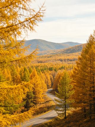 3-Day 2-Night Arxan Trip | September Forest Fairytale, Northern Autumn Hidden Gem
