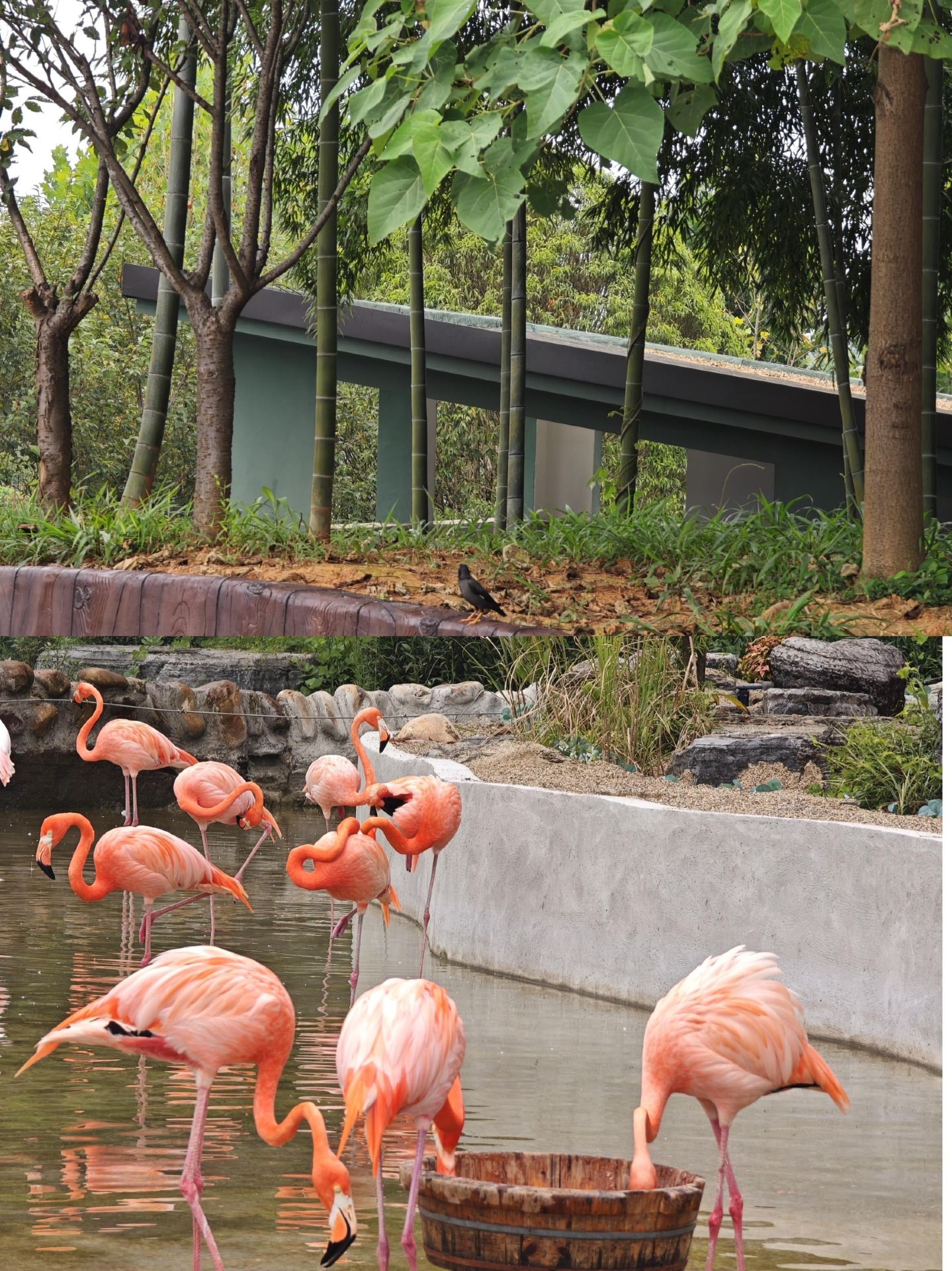 You get it? Changde locals' secret spots! A foolproof guide to eating, drinking, and having fun