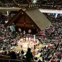 Sumo in Tokyo! 