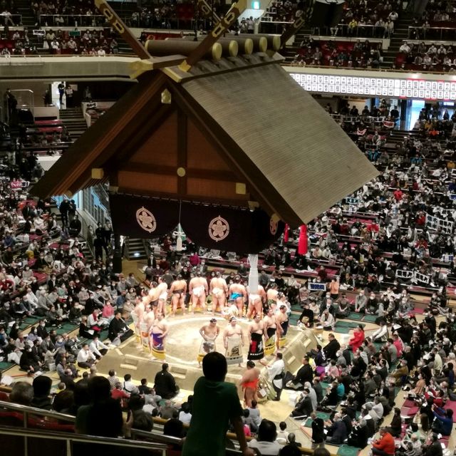 Sumo in Tokyo! 