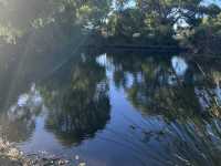 Lake Douglas, Swan Canning Riverpark😎📸🤩