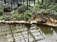 本地動物園—香港動植物公園