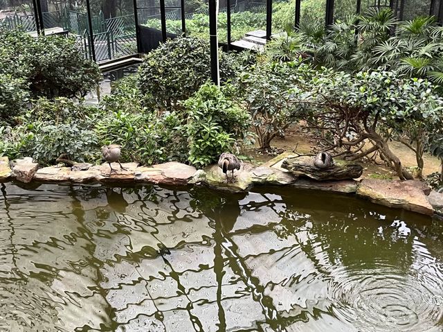 本地動物園—香港動植物公園