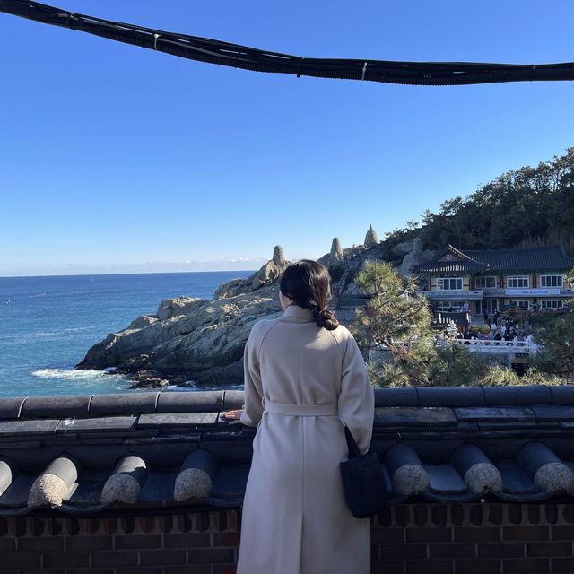 부산 기장 가볼만한곳 추천 해동용궁사