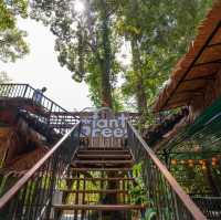 Giant Green  ร้านอาหารสไตล์ลอฟท์ในสวนยาง