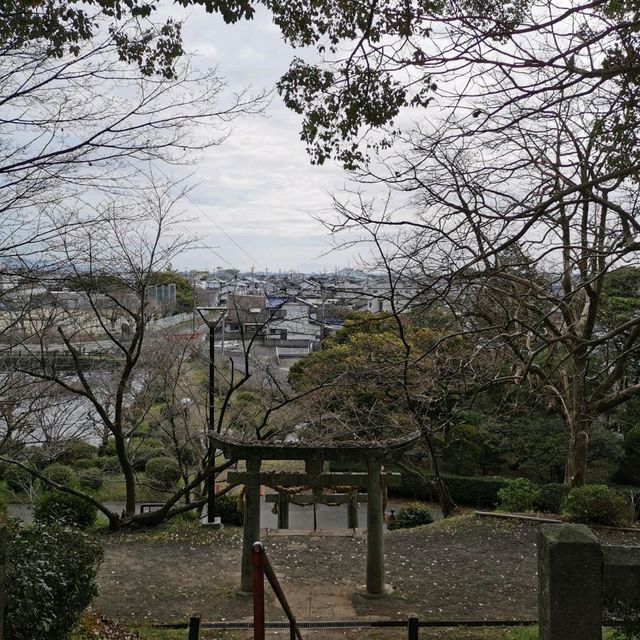 Beautiful park with around 3k sakura trees
